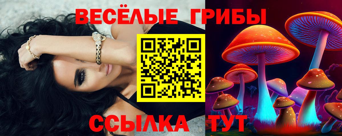 Котовск  Псилоцибиновые грибы Magic Shrooms  Вход с VPN 
